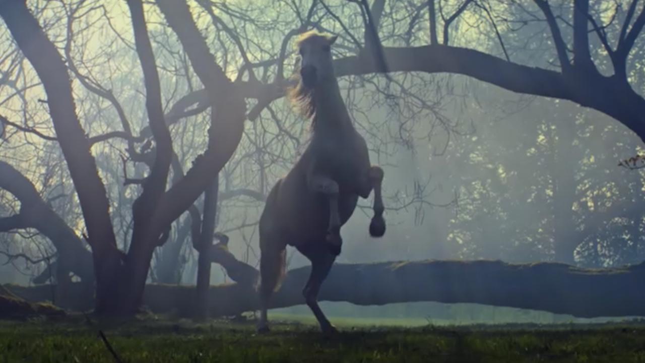 Horse of Hope